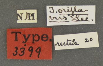 Media type: image;   Entomology 3399 Aspect: labels